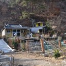 윤미자농장 이미지