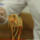 인성만두 이미지