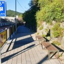 반여중학교 이미지