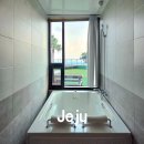 제주도게스트하우스파티 리조트 청 | 제주도 서귀포 게스트하우스 파티 리조트 청 후기