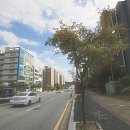 서충주 신도시 상가 앞 네이버블로그