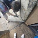 달콤한닭강정(일동점) | 경기도 안산 보수공사업체 달콤한 닭강정 옥상부로아 후드 외부덕트 교체공사 후기 현장