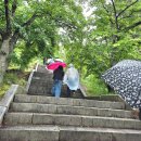 관음송 | 경주 불국사(佛國寺) 호국불교의 성지 세계문화유산, 구미 원각사 성지순례 후기