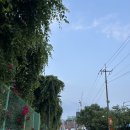 동욱축산 이미지