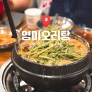 영미오리탕 | 성시경 먹을텐데 맛집 영미오리탕 내돈내산 솔직후기 / 주말 웨이팅 꿀팁