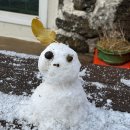 구몰니인사리 이미지