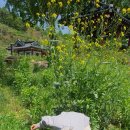 유곡마을 회관앞 이미지