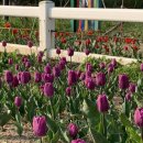 두꺼비목장 이미지