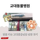 수 동물병원 | 서초구동물병원 믿음 가는 교대동물병원 방문 후기