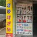 용인대 청룡 태권도 이미지