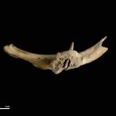 갈비시대 이미지