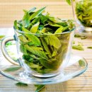 살구나무한의원 이미지