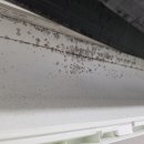 위니아공조 | 야탑에어컨청소, 켜자마자 냄새 나는 이유 꼼꼼한 여자기사 방문