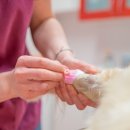 24시센트럴동물메디컬센터 이미지