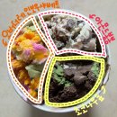 [후기리뷰] 배스킨라빈스 오버더레인보우 (6월 이달의 맛)