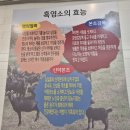 대가식품 | [굽은다리역맛집]대가흑염소 강동명일점 후기입니다.