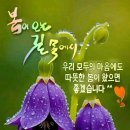 ~봄이 오는 길목에서~ 봄비가 오며 재촉을 하여도 겨울이 가기싫어 시샘을 하듯 눈을뿌리며 심술을 부렸네요 이미지