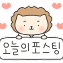 고산 품 태권도장 이미지