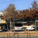 인동32길-15 이미지