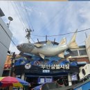 다육이야기 - 부안군 부령로 67 | 다육이야기
