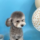 제이앤제이 그루밍 이미지