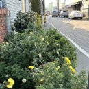 금강장여관 이미지