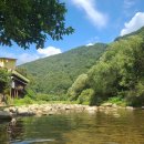 푸른강변 이미지