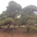 영민농장 이미지