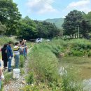 꽃을사랑하는사람들 - 태안군 지막골길 20-14 | 꽃을사랑하는사람들