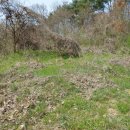 화순믿음공인중개사사무소 이미지