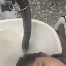 4993 | [망원동미용실]에이바헤어 망원역점 극손상모 수분클리닉 후기