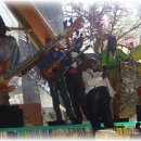 민들레울 이미지