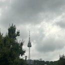 원이네김밥 | 내돈내먹] 모듬회 <원이네회식당>, 가오리찜 <황가네...도리스파티세리>, 남산타워 <원조남산돈까스> 후기