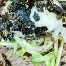 양양토담글램핑&펜션 이미지