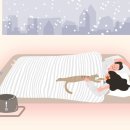 송도종합동물병원 네이버블로그