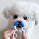 더이롭개 네이버블로그