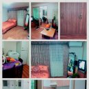 제주 홈스텔 이미지