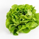 군자뮤직복싱다이어트 이미지