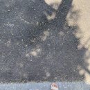 무림공인중개사사무소 이미지