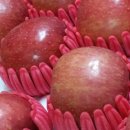 연풍농장 이미지