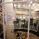 릴리펏(Lilliput)청담본점