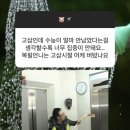 비에이비 이미지