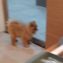 홀인원노래짱 | 8월 블로그(2)