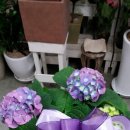 소호어린이집 이미지