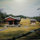 대경문화