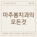 마주봄치과의원 이미지