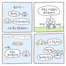이다미 이미지