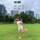 사이버굿 | [서울]사이버영토수호 마라톤 10km 후기(러닝초보/스압주의)