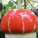 아름다운농장비밀의화원 이미지