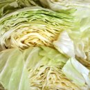 CL푸드